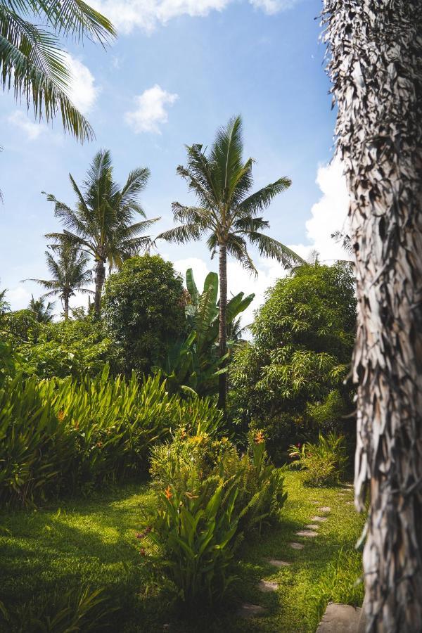 Triangle Palms Siargao Villa General Luna  Eksteriør bilde